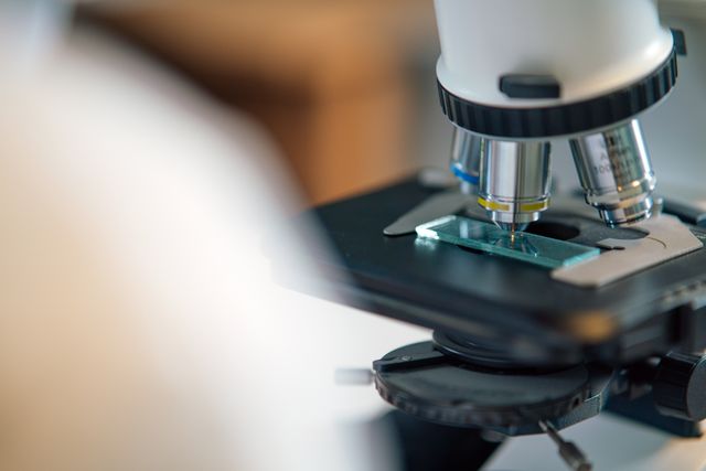 Jak dobrać mikroskop do laboratorium? Najważniejsze kryteria wyboru